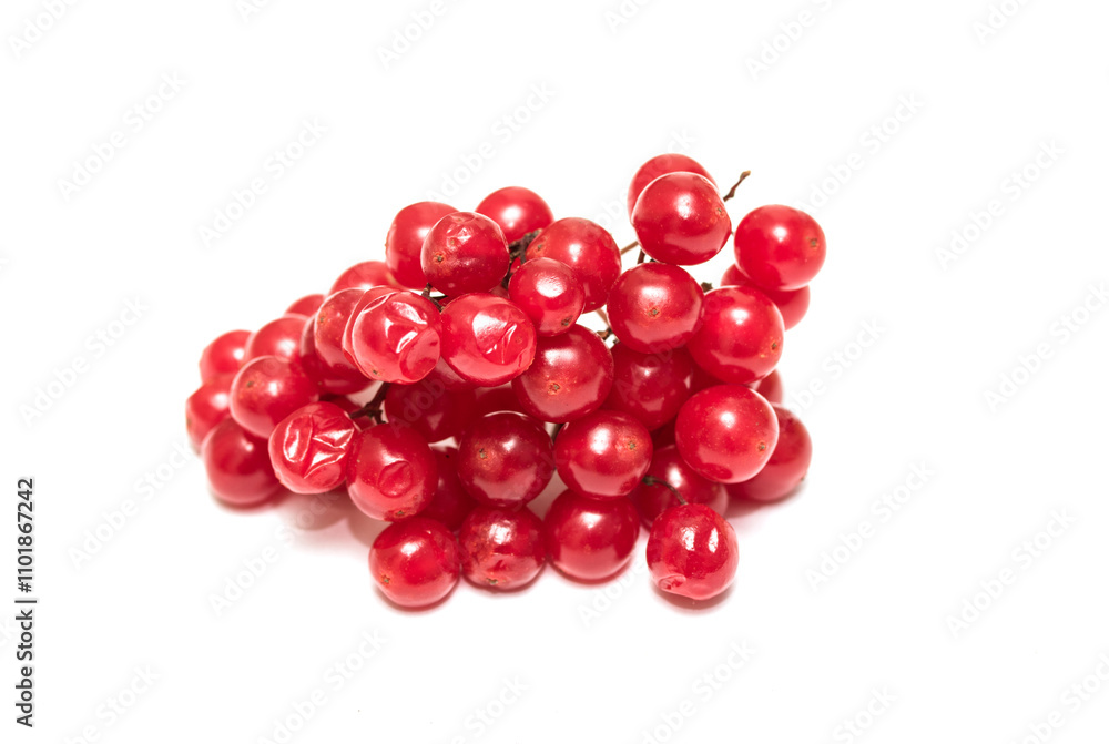 a bunch of red berries isolated on white background a bunch of red berries isolated on white background