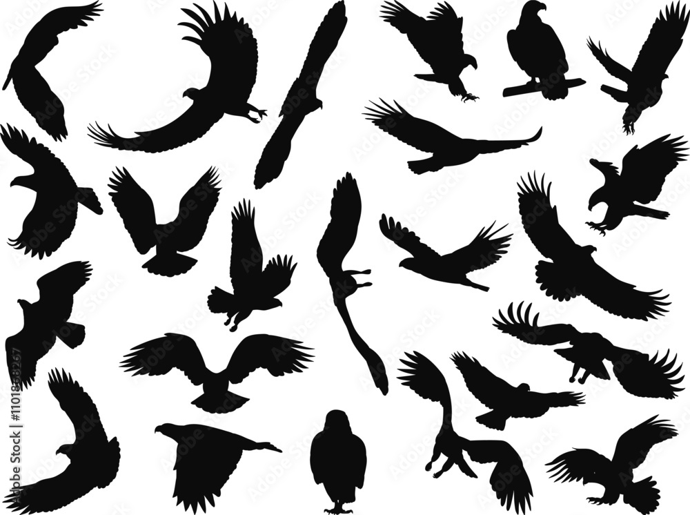 Obraz premium set of flying birds, eagles silhouette vector