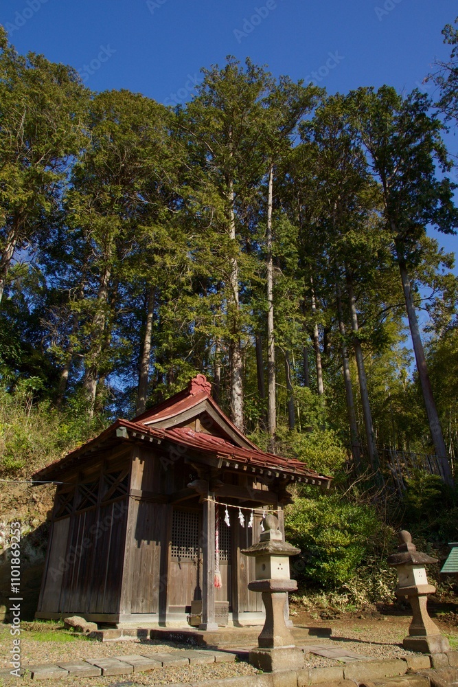 鎌倉市大船の春 多聞院の桜と熊野神社
鎌倉市大船の春 多聞院の桜と熊野神社