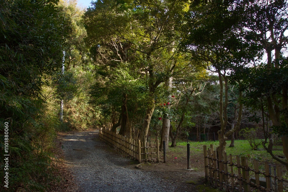 山崎台峯緑地 鎌倉市 北大路魯山人星岡窯跡
山崎台峯緑地 鎌倉市 北大路魯山人星岡窯跡
