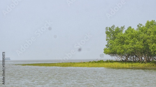 grass on a beach