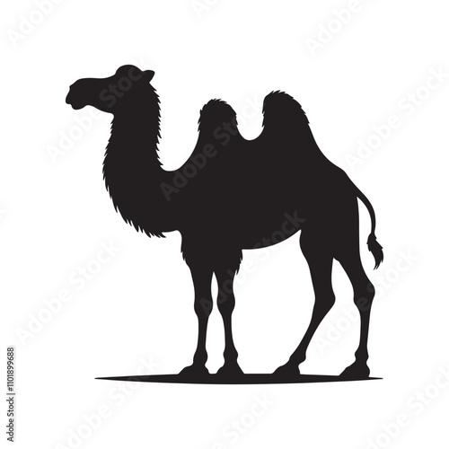 camel in desert vector