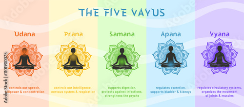The Five Vayus of Pranic Energy Infographic