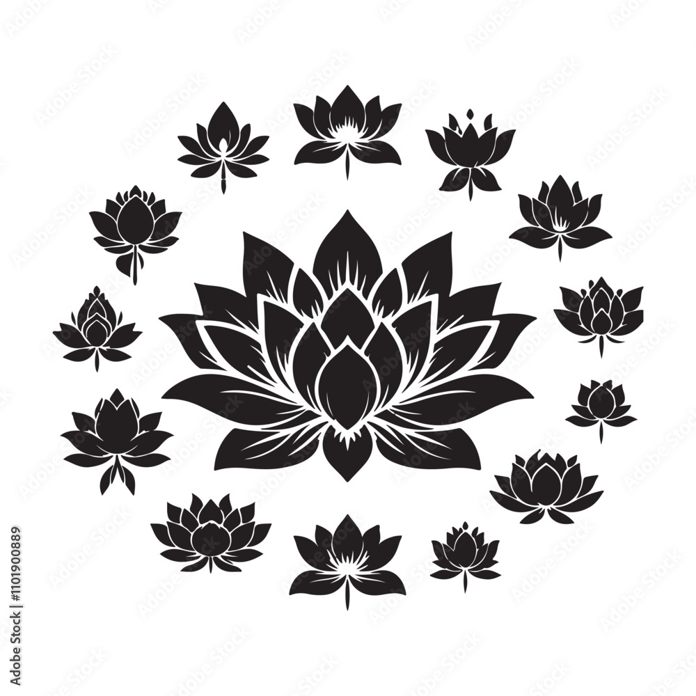 Obraz premium set of floral elements vector