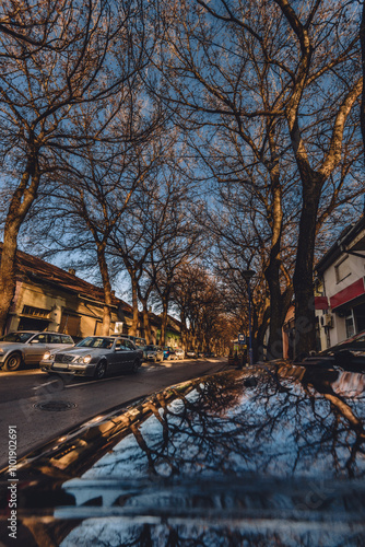 Obraz na płótnie General Drapsina Street in Kikinda Town Serbia w salonie