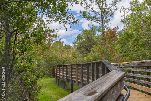 The wooded walking bridge transverses the vibrant colorful autumn and summer foliage at the New Tampa Nature Park