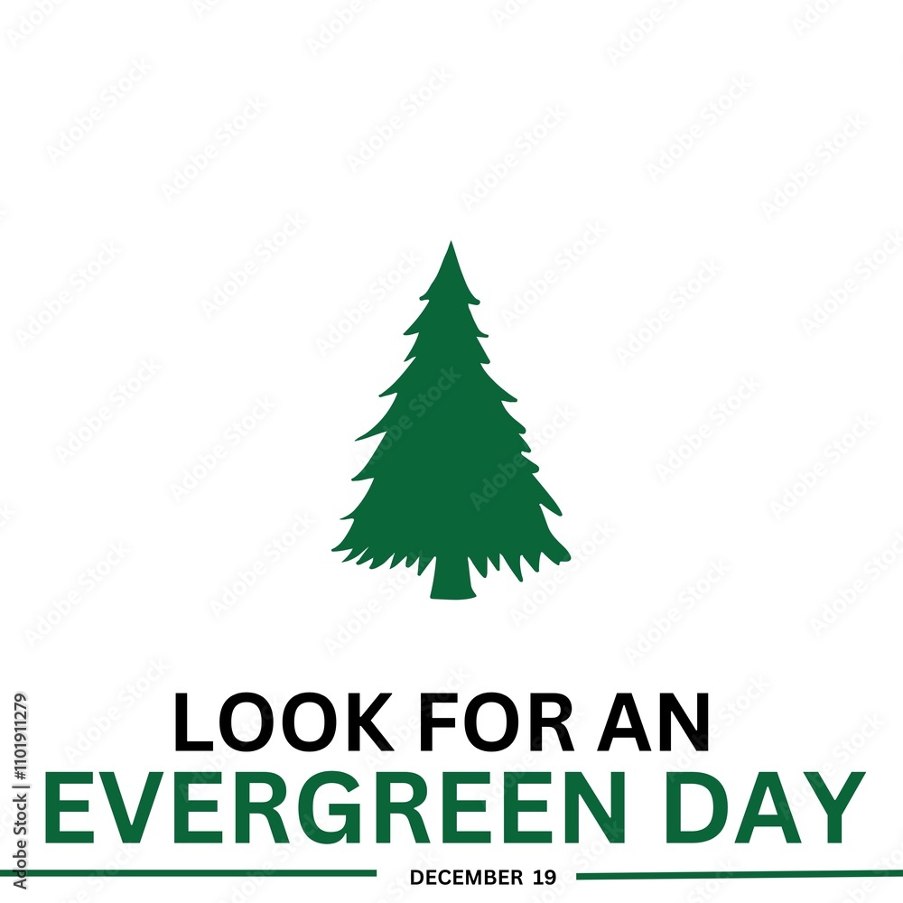 look for an evergreen day look for an evergreen day