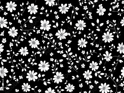 A pattern of small white flowers and leaves on a black background.  photo