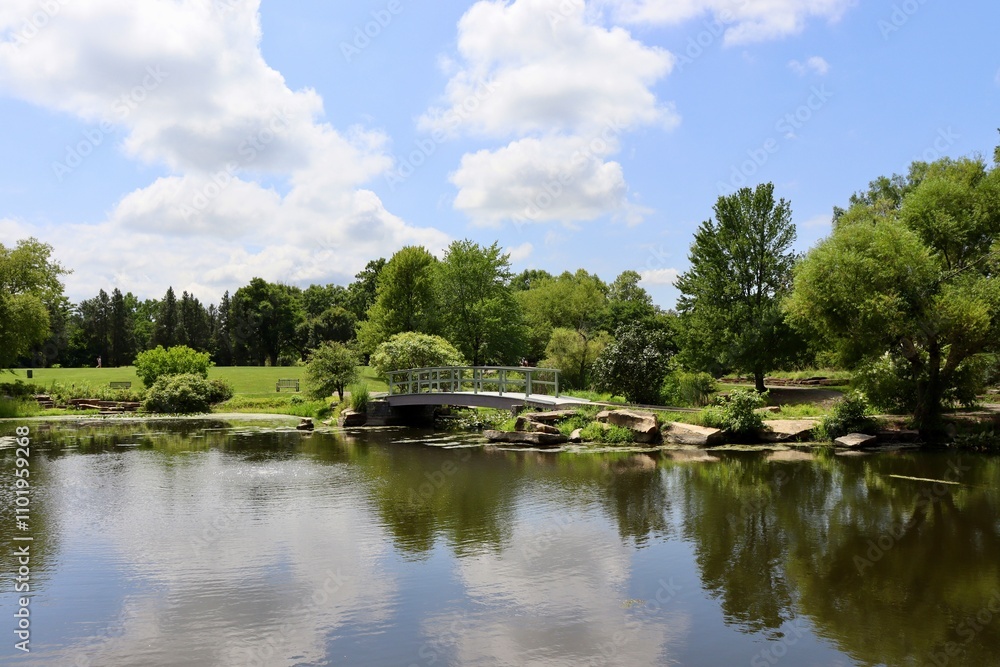 Fototapeta premium The footbridge at the pond in the park on a sunny day.