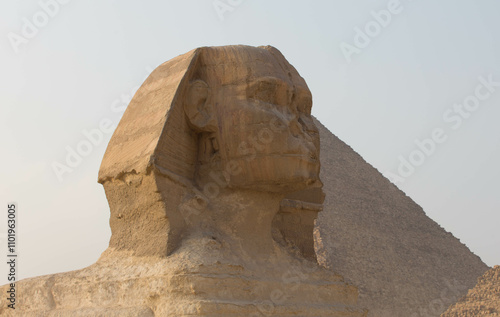 THE SFINKS AND PYRAMID IN THE GIZA IN EGYPT photo