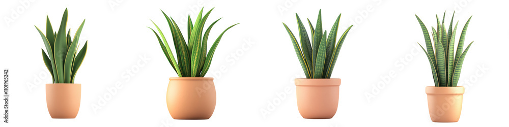 Set Four potted plants with varying heights Set Four potted plants with varying heights