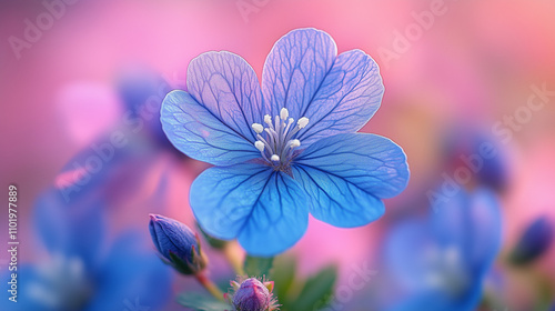  Blue Flower in Soft Focus