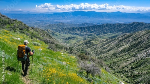 A hiker stands on a lush hillside, overlooking a scenic valley and mountain range.