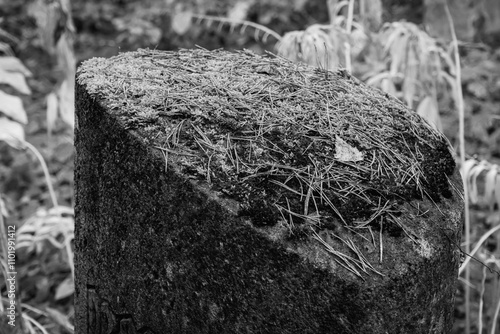 Grabstein auf einem Friedhof

