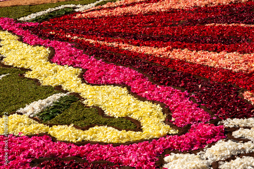 Flower petals carpet, decoration of multicolored cut flowers photo