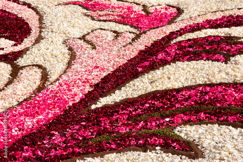 Flower petals carpet, decoration of multicolored cut flowers photo