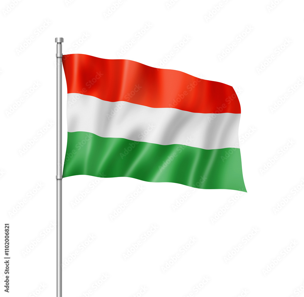 Obraz premium Hungarian flag isolated on white