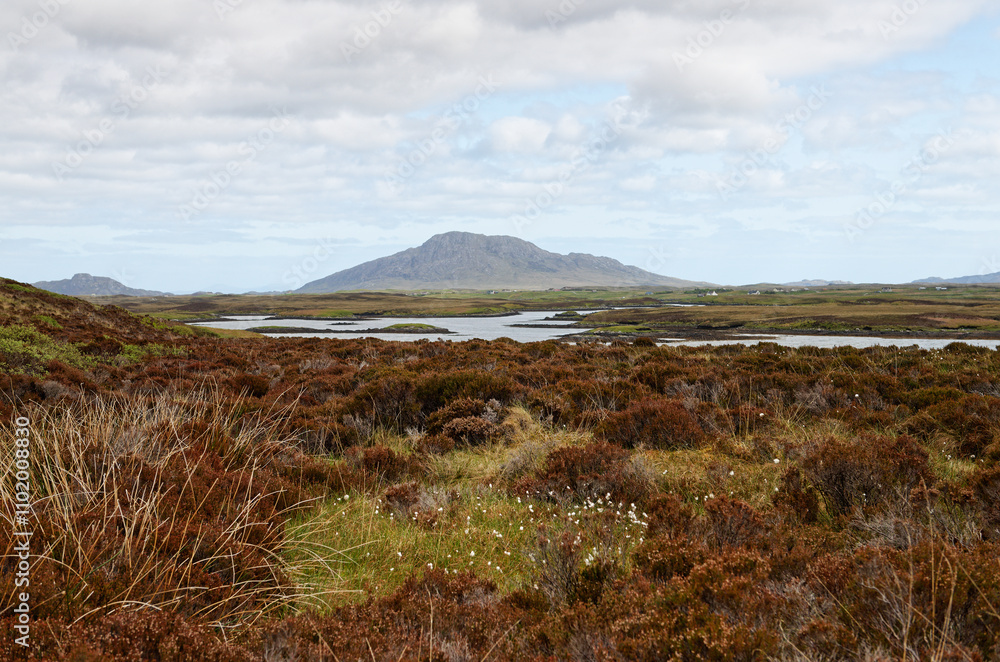 Peat bog ericaceous landscape on south slope of Ben Langass, North Uist, Outer Hebrides. View SE over tidal inlets toward Eaval mountain