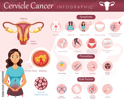 Cervical Cancer Infographic Key Facts, Risks, and Prevention at a Glance