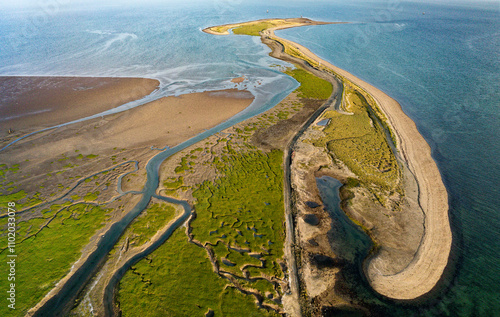 Obraz na płótnie Foulney Island grass and shingle spit in Furness, N.E. of Walney Island, Cumbria. Wildfowl habitat. Tern, plover, geese, eider, dunlin, curlew etc. w salonie