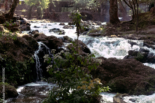 Born Of waterfalls photo