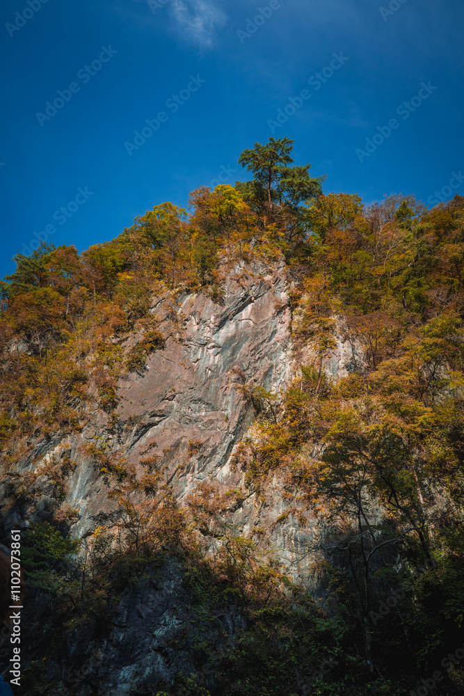 Geibikei gorge valley Japan, travel destinations in autumn or fall season, color of leaf in yellow, orange and green. Nature and mountain attraction view. floating activity. Japan sightseeing. Geibikei gorge valley Japan, travel destinations in autumn or fall season, color of leaf in yellow, orange and green. Nature and mountain attraction view. floating activity. Japan sightseeing.