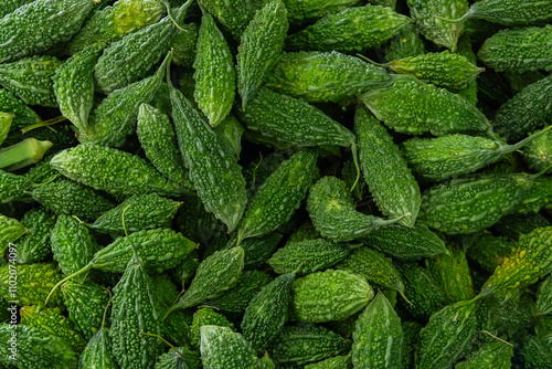 Close up of photo Fresh Bitter gourd or bitter melon background, Asian food ingredients and herbal medicine.