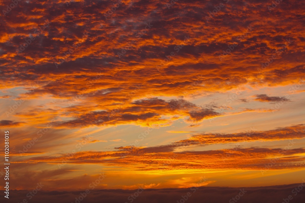 Fototapeta premium sin titulo