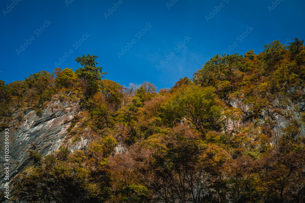 Geibikei gorge valley Japan, travel destinations in autumn or fall season, color of leaf in yellow, orange and green. Nature and mountain attraction view. floating activity. Japan sightseeing. Geibikei gorge valley Japan, travel destinations in autumn or fall season, color of leaf in yellow, orange and green. Nature and mountain attraction view. floating activity. Japan sightseeing.