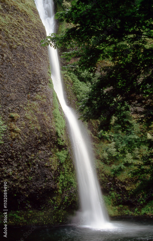 Fototapeta premium Towering Waterfall