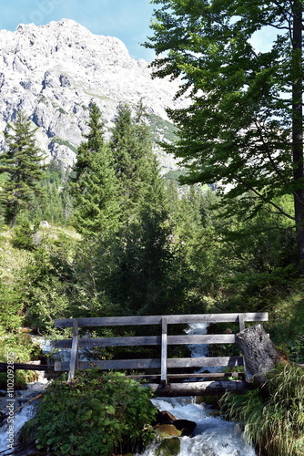 Holzbrücke über einen Gebirgsfluss mit Bergen und Bäumen im Hintergrund