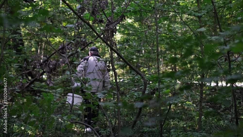 Man found mushrooms in the forest, cutting them with a knife to place in a basket mushroom foraging as a hobby and city escape. Man found mushrooms in the forest, cutting them with a knife to place in a basket mushroom foraging as a hobby and city escape.