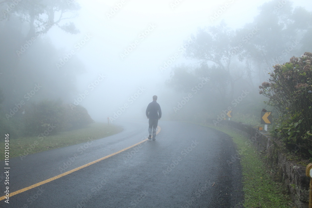 silhueta de homem caminhando em estrada com neblina - na estrada da graciosa, paraná silhueta de homem caminhando em estrada com neblina - na estrada da graciosa, paraná