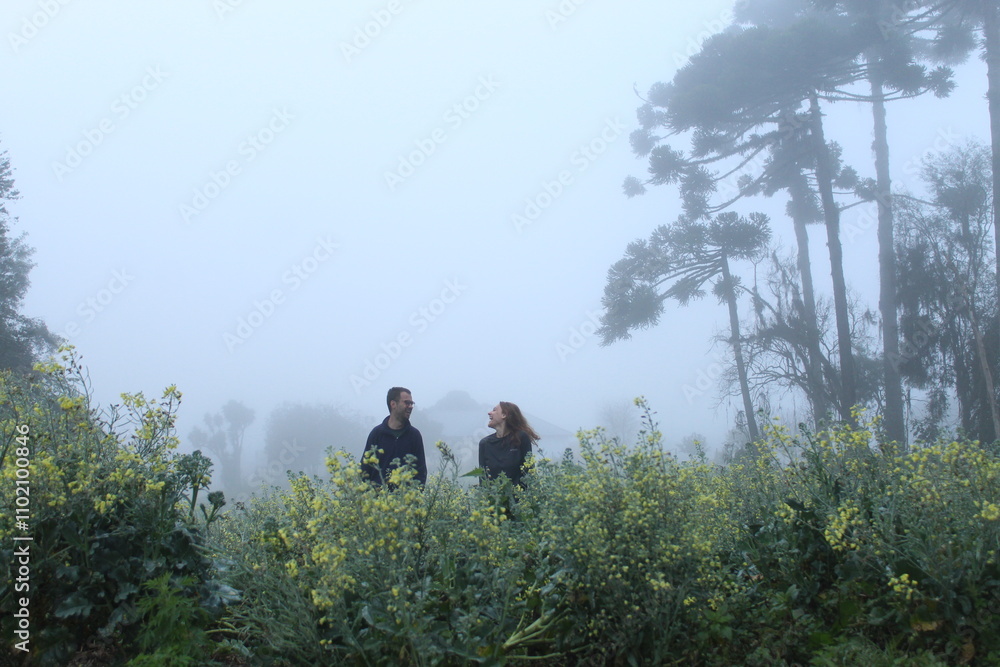 casal caminhando em meio a plantação com neblina ao fundo casal caminhando em meio a plantação com neblina ao fundo