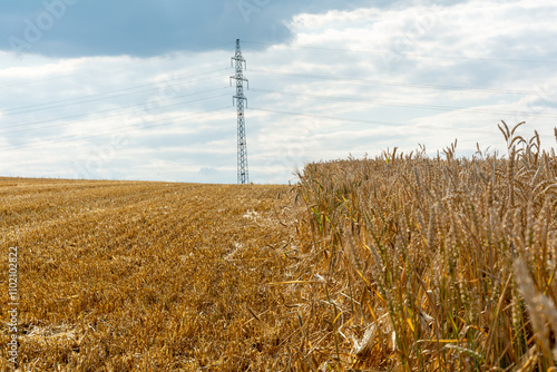 Golden Wheat Field with Power Lines Under a Cloudy Sky
This image captures a vast golden wheat field under a partly cloudy sky, juxtaposing nature with modern infrastructure. On the left, freshly harv photo