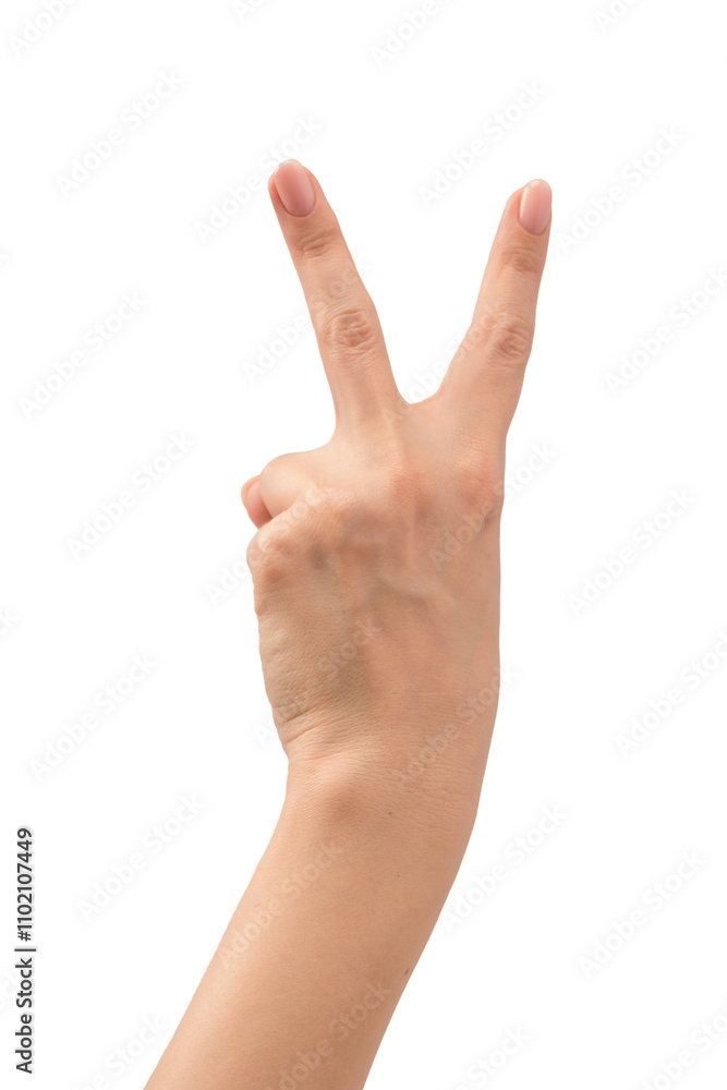 Woman hands with nude manicure isolated on a white background. Woman hands with nude manicure isolated on a white background.