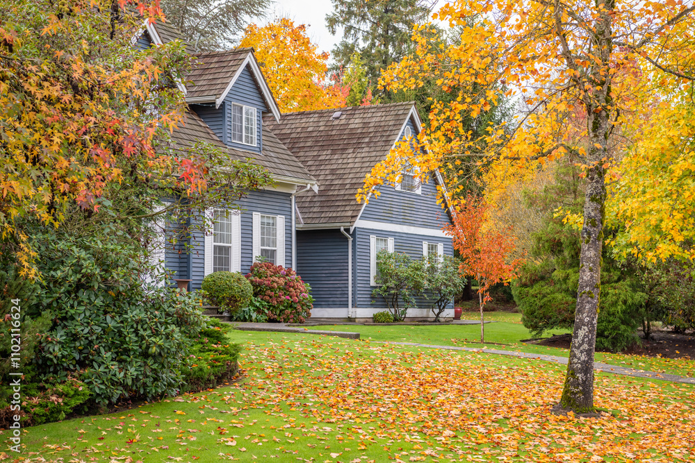 Two story stucco luxury house with garage door, big tree and nice Fall foliage landscape in Vancouver, Canada, North America. Day time on November 2024. Two story stucco luxury house with garage door, big tree and nice Fall foliage landscape in Vancouver, Canada, North America. Day time on November 2024.