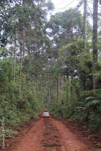 carro em estrada rural na mata atlântica photo