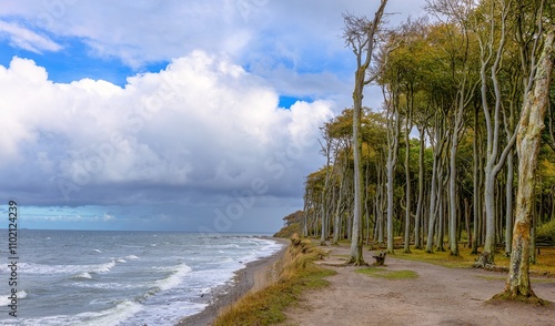 Obraz na płótnie
Ghost forest and cliffs on the Baltic Sea beach w salonie