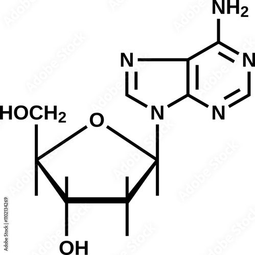 Nucleoside deoxyadenosine structural formula, DNA component vector illustration
