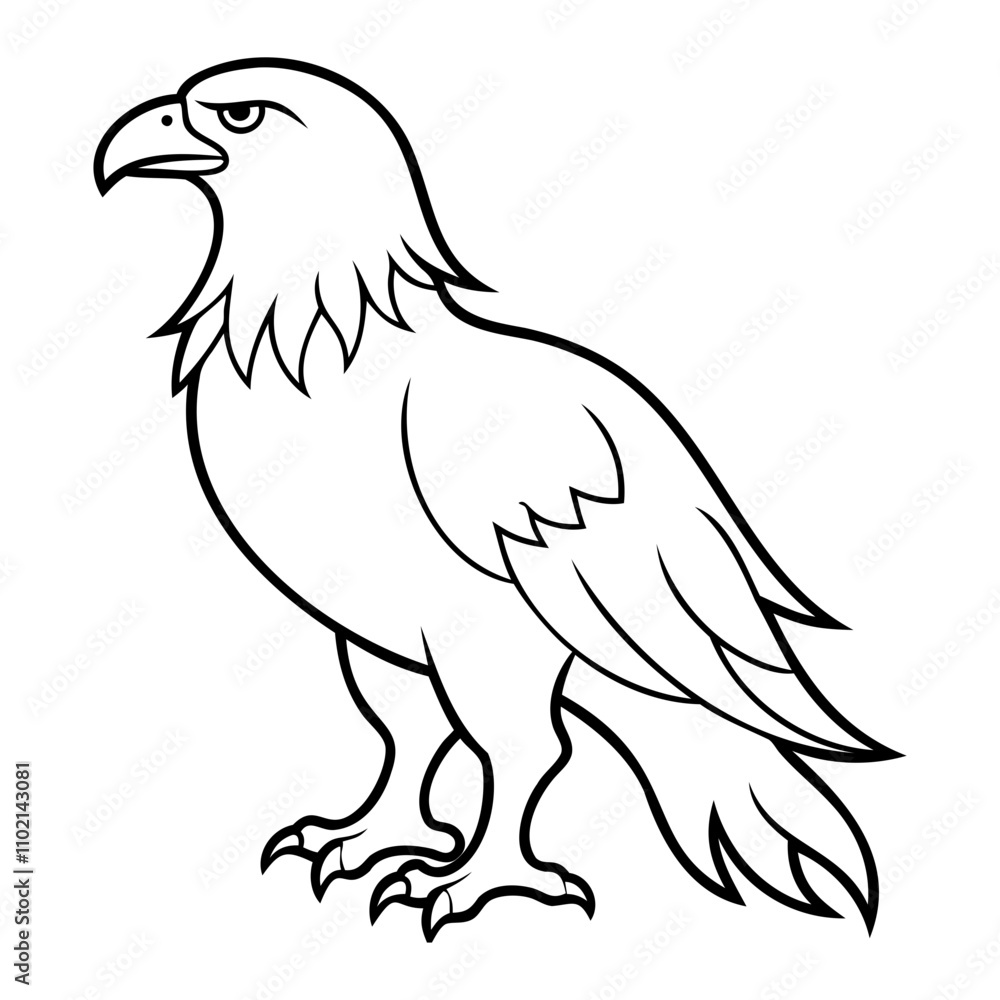 Eagle Bird Vector outline or Line art Black Silhouette isolated on transparent background Eagle Bird Vector outline or Line art Black Silhouette isolated on transparent background