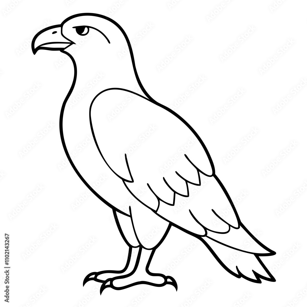 Eagle Bird Vector outline or Line art Black Silhouette isolated on transparent background Eagle Bird Vector outline or Line art Black Silhouette isolated on transparent background