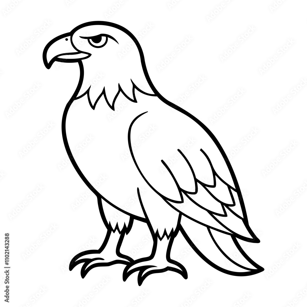 Eagle Bird Vector outline or Line art Black Silhouette isolated on transparent background Eagle Bird Vector outline or Line art Black Silhouette isolated on transparent background