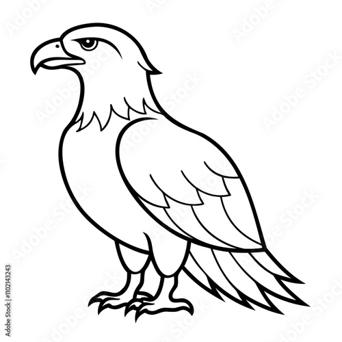 Eagle Bird Vector outline or Line art Black Silhouette isolated on transparent background