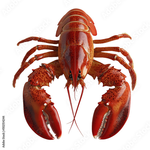 Isolated Lobster Animal on Transparent Background photo