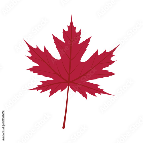 Maple Leaf Red Vector Illustration Design – High-Quality Graphics for Creative Projects