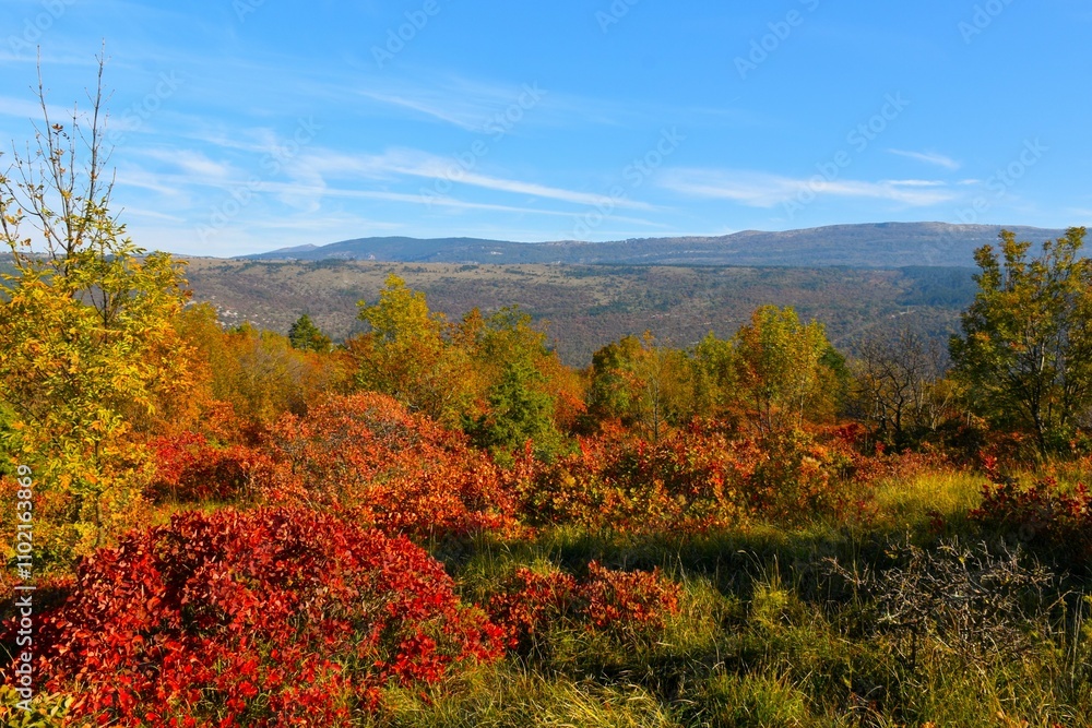 Colorful autumn mediterranean vegetation with mountains above Čičerija behind in Istria, Slovenia Colorful autumn mediterranean vegetation with mountains above Čičerija behind in Istria, Slovenia
