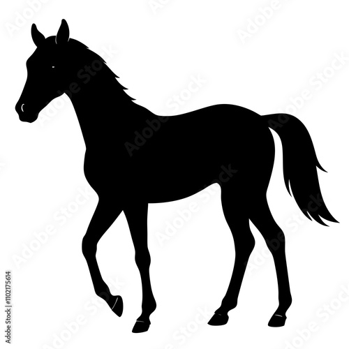 horse silhouette isolated on white