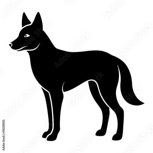 black and white dog