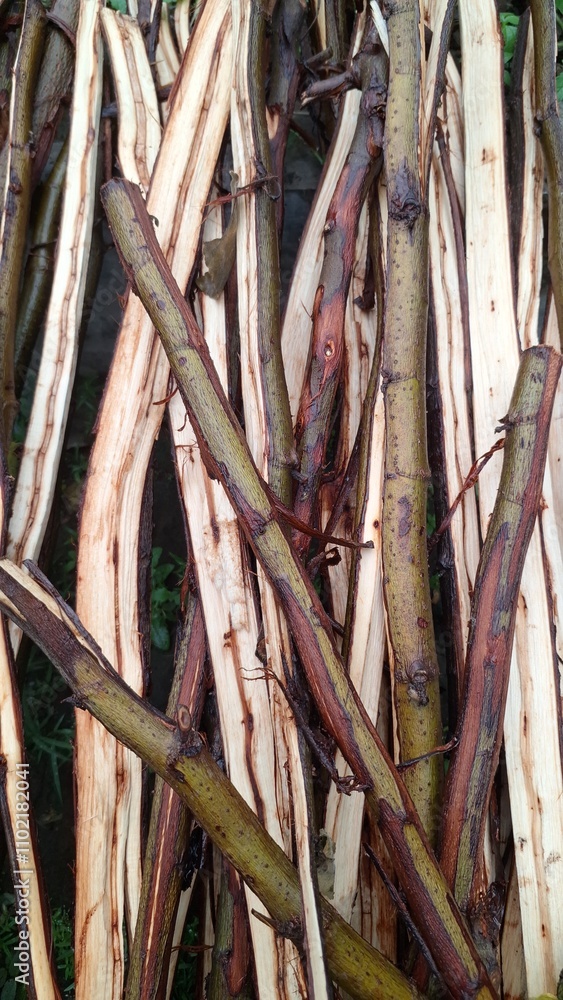 Close-Up of Split Tree Branch for Firewood with Wet Details. Perfect for Natural Backgrounds, Wallpapers, and High-Quality Nature Photography Close-Up of Split Tree Branch for Firewood with Wet Details. Perfect for Natural Backgrounds, Wallpapers, and High-Quality Nature Photography